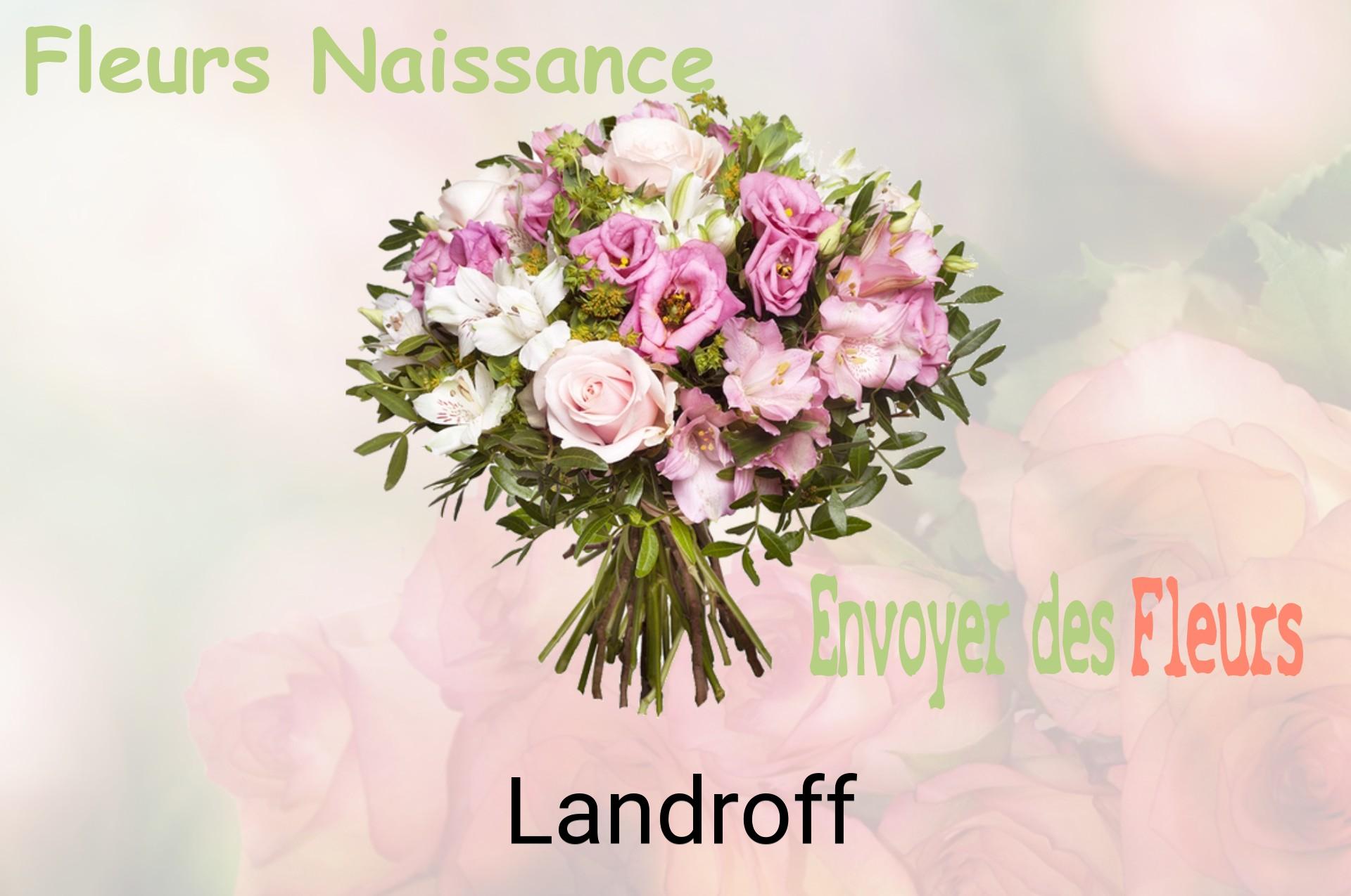 Bouquet de fleurs de naissance livré à Landroff